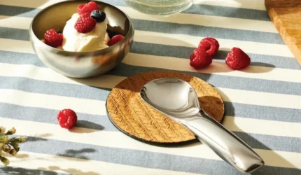 Alessi κουτάλι παγωτού από ανοξείδωτο ατσάλι Koki